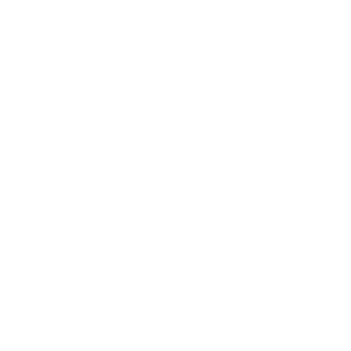 Silent State Studio Logo